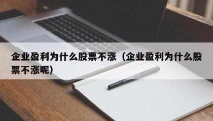 企业盈利为什么股票不涨（企业盈利为什么股票不涨呢）