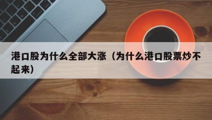 港口股为什么全部大涨（为什么港口股票炒不起来）