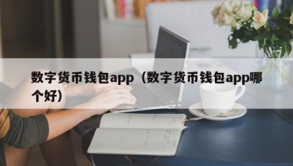 数字货币钱包app（数字货币钱包app哪个好）
