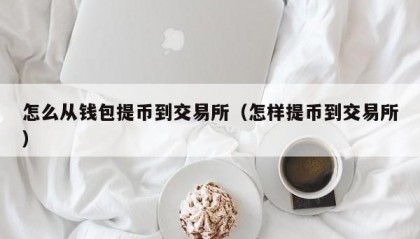 怎么从钱包提币到交易所（怎样提币到交易所）
