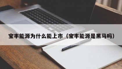 宝丰能源为什么能上市（宝丰能源是黑马吗）
