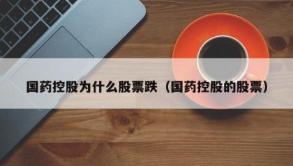 国药控股为什么股票跌（国药控股的股票）